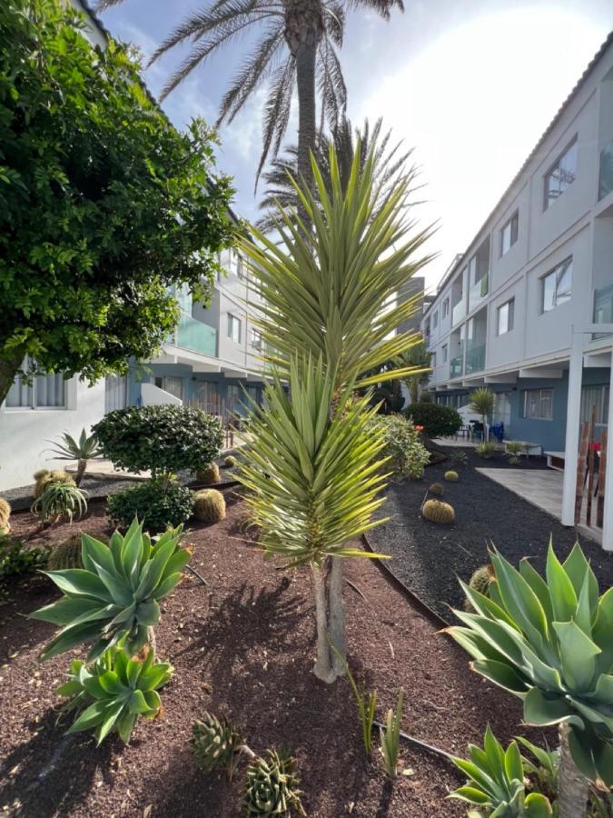 Corralejo Bristol Terrace Apartment Con Giardino Privato Esterno Exterior foto